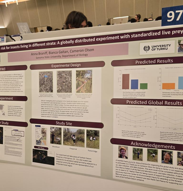 Insect Predation research poster