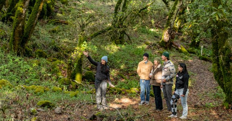 Hikers on a guided tour at Osborn Preserve
