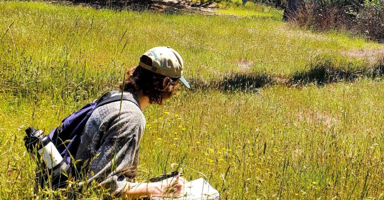 young man with notebook in field of flowers near utility tower