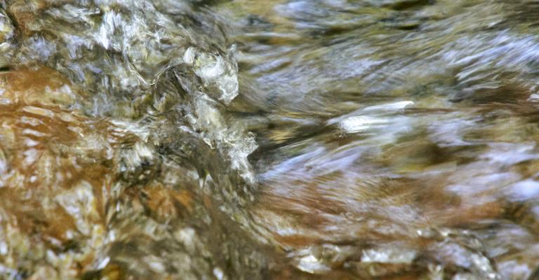 Rushing water in creek