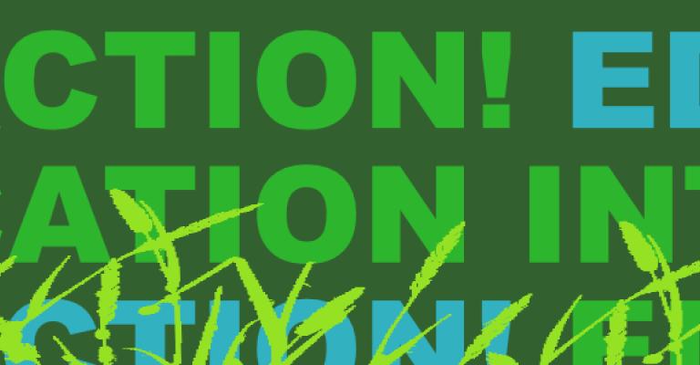 - - - - Thin banner