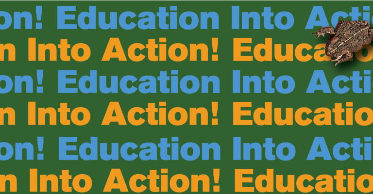 Education into Action masthead