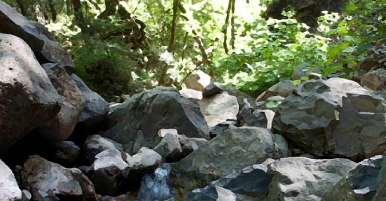 creek bed with boulders and trees