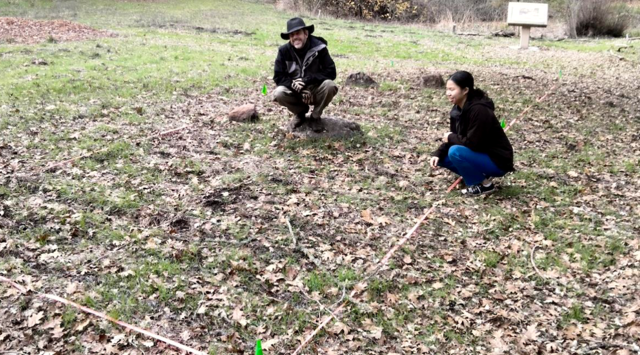 people kneel next to research plot