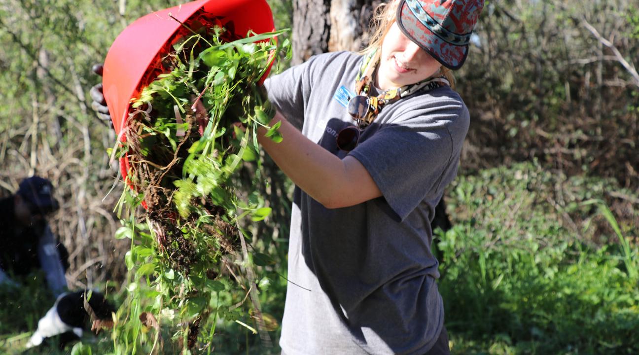 Americorps volunteer restoring along Copeland Creek