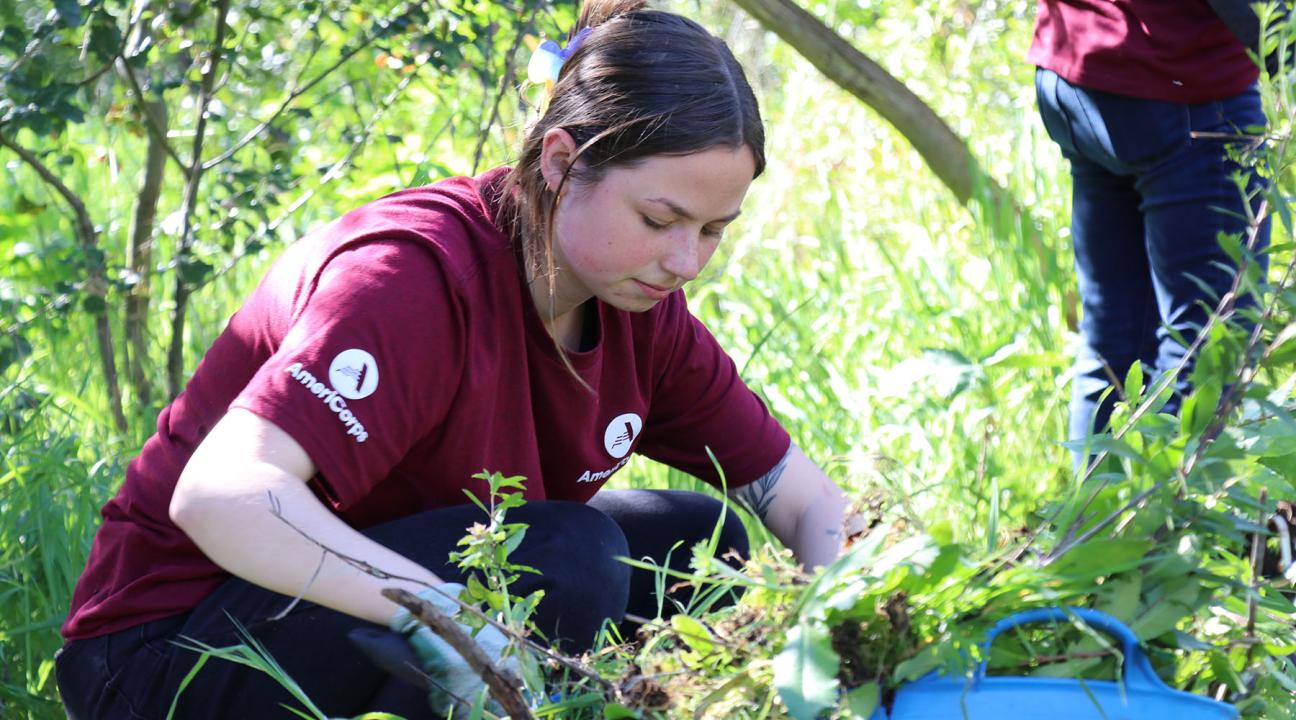 Americorps volunteer restoring along Copeland Creek