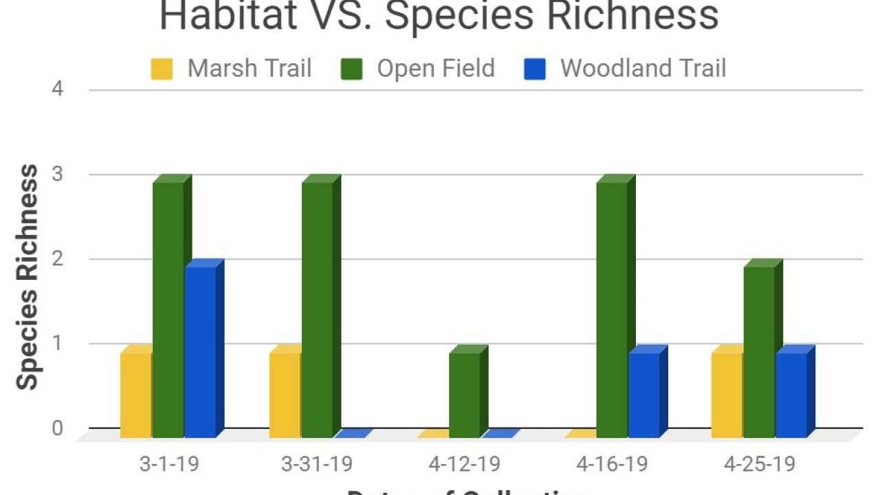 graph of results from student poster