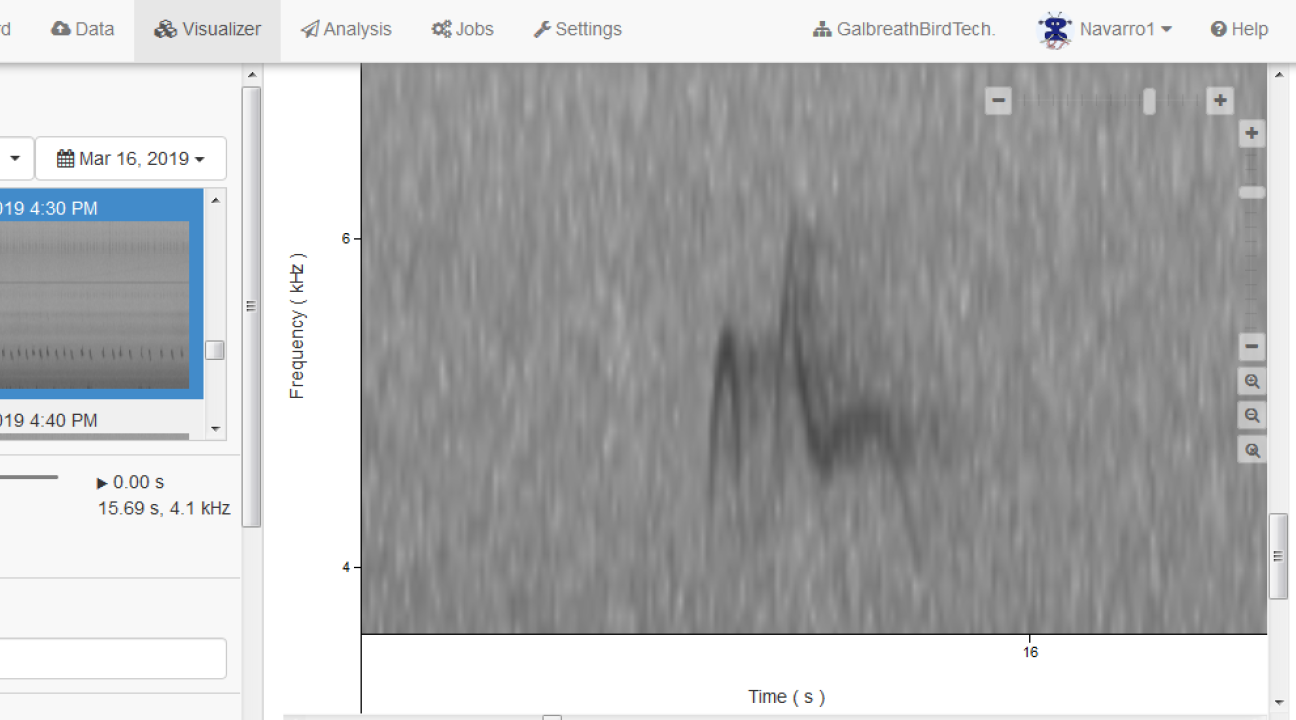 data analysis screen with sonogram of a bird call on right and editing features on left