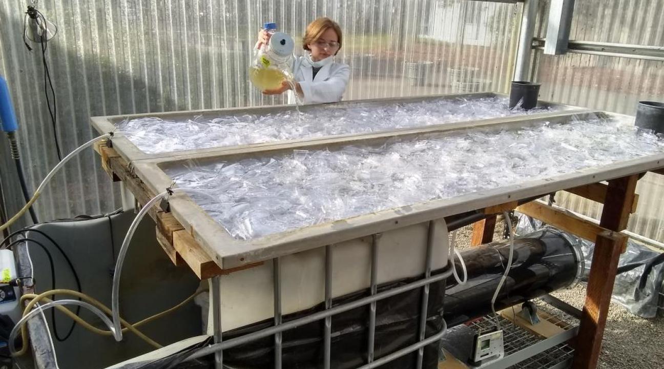 A woman pours liquid into a large tray with plastic bits
