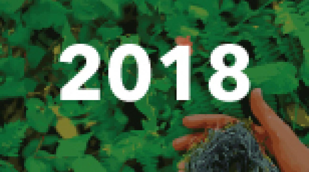 2018 Annual Report Cover