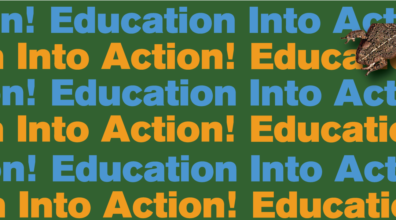 Education into Action masthead