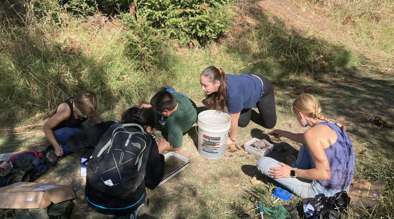 Students assessing samples along Copeland Creek