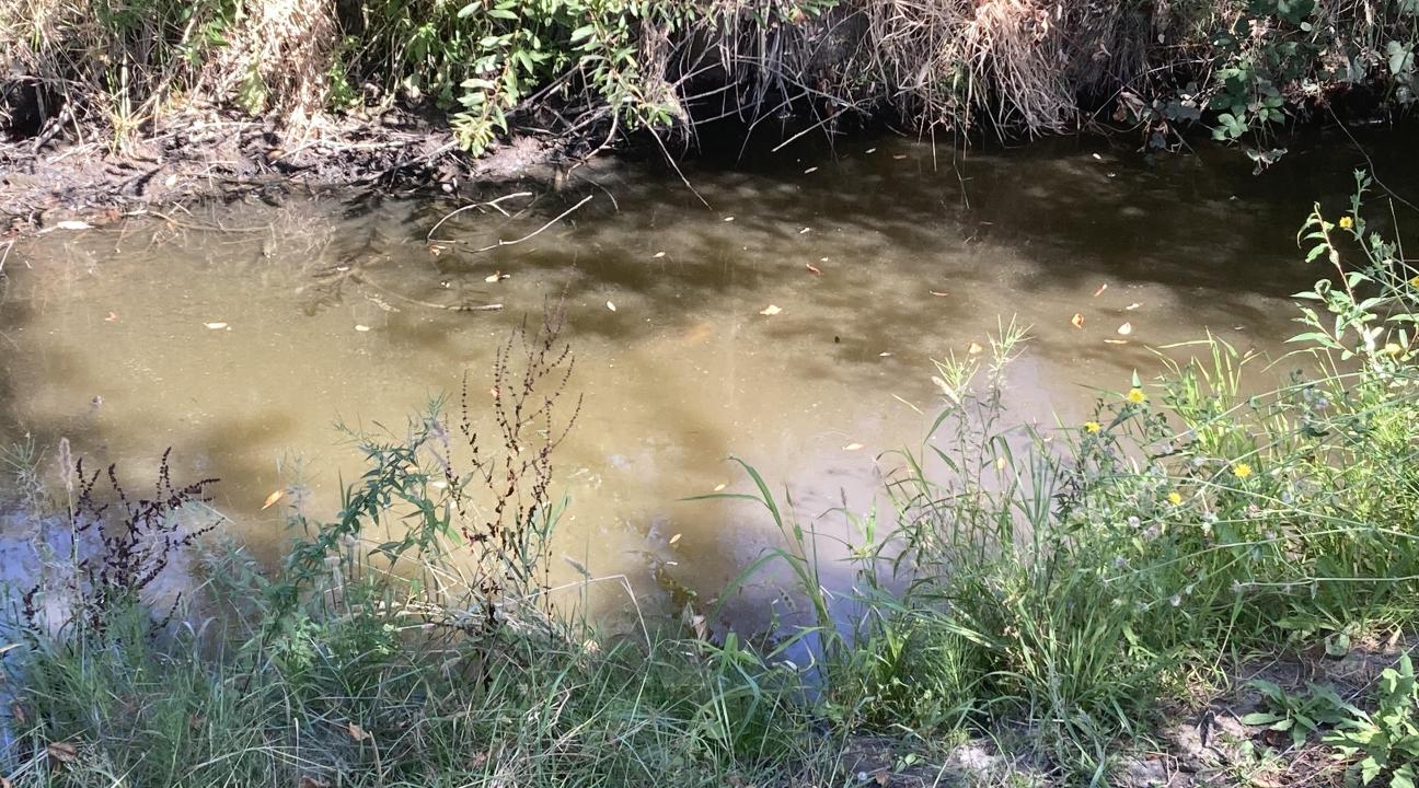 Copeland Creek site of Macroinvertebrate sampling