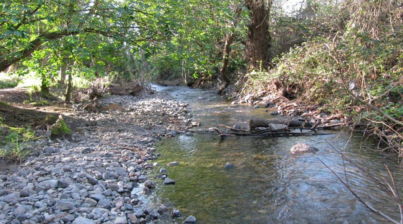 Copeland Creek