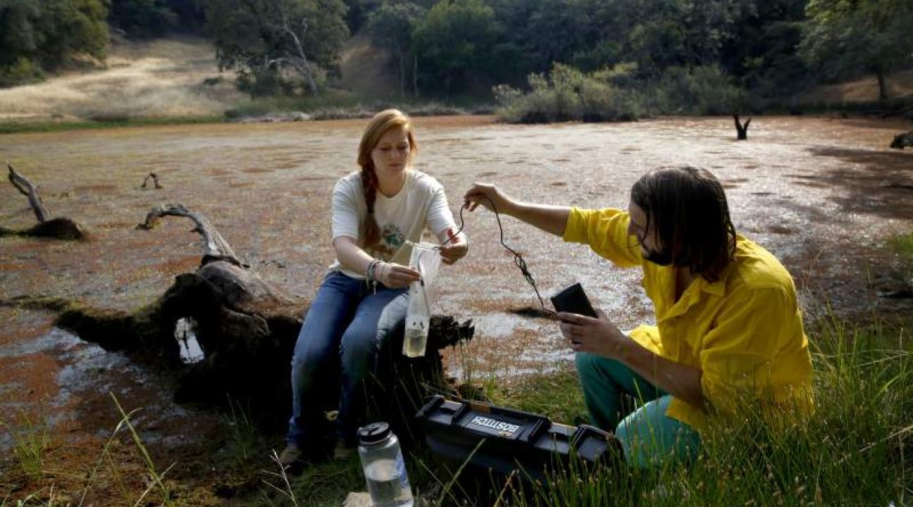 Students conducting water quality tests