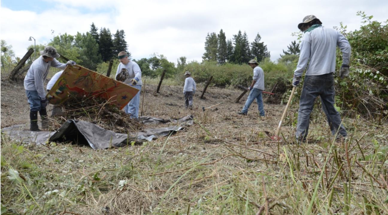 Ecology Corps