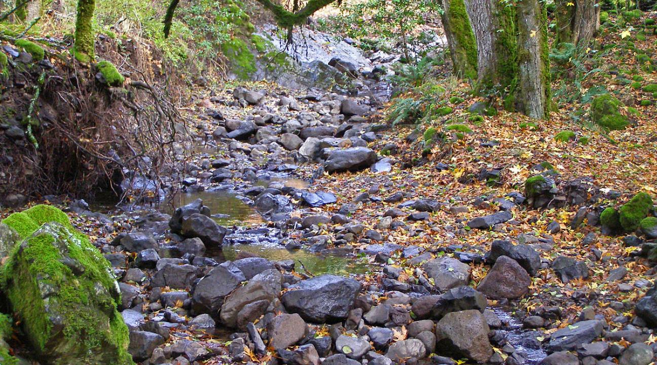 Creek