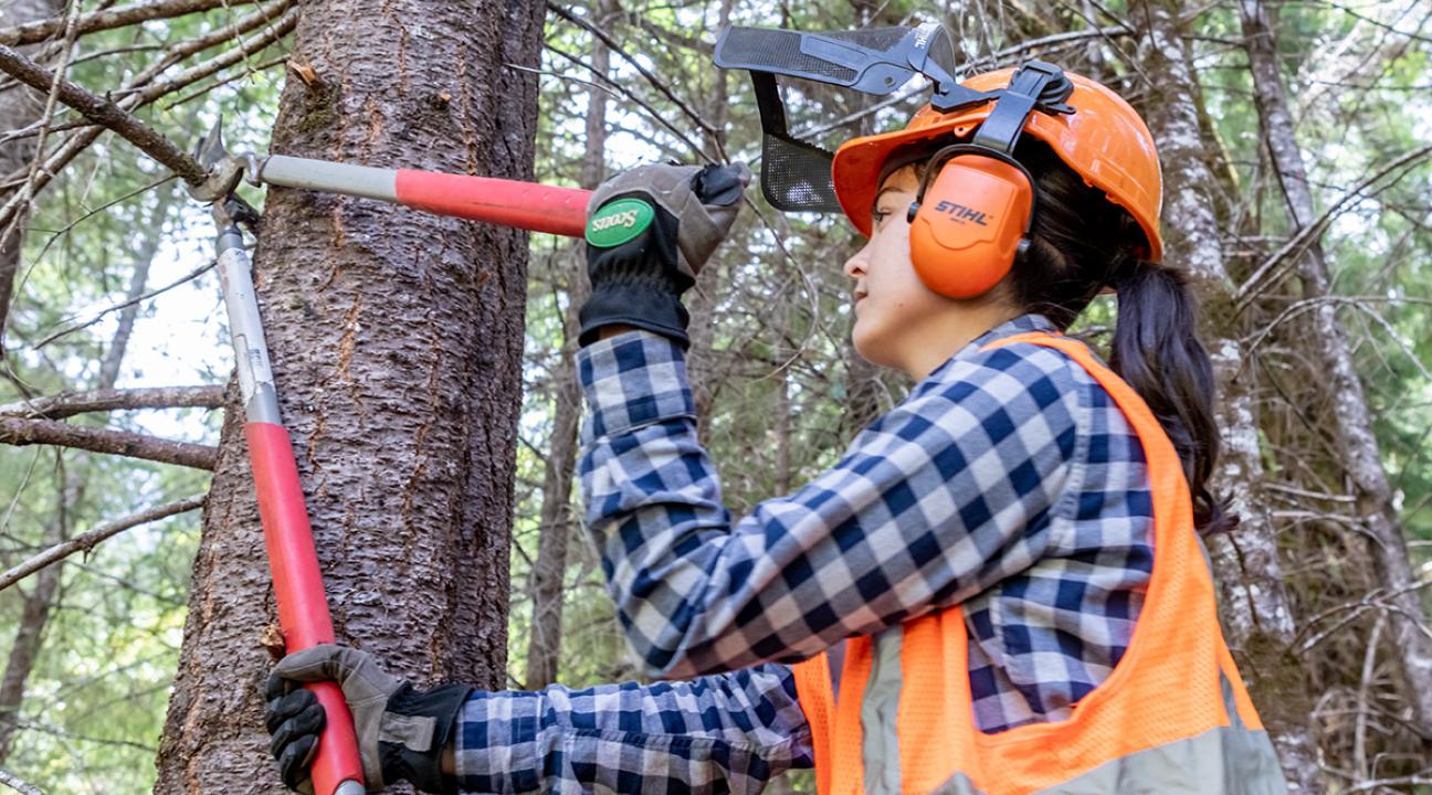 Student trimming tree at Galbreath Preserve