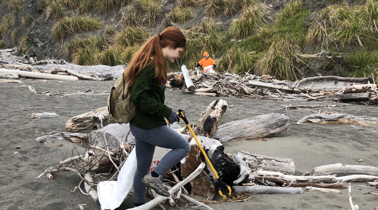 Researcher walking among driftwood