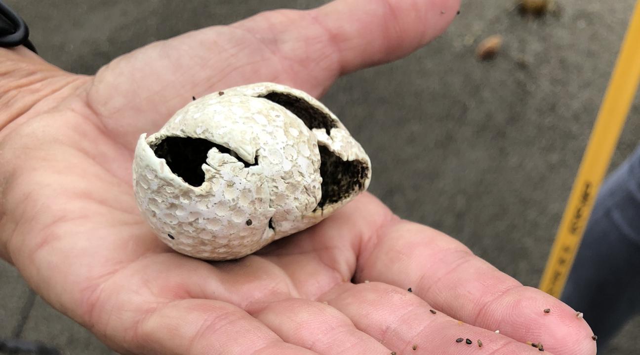 hand holding item