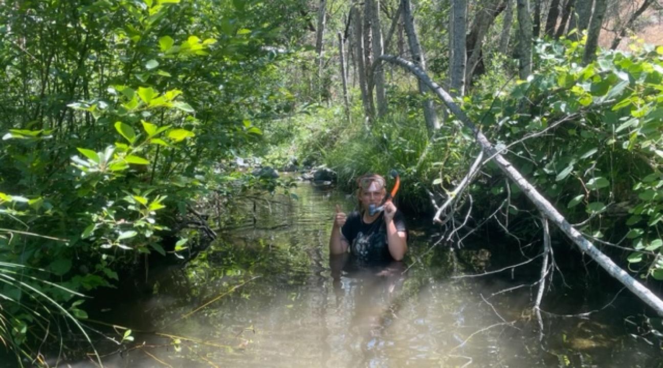 Beth Sabo studying Eggs and Larvae in Creek