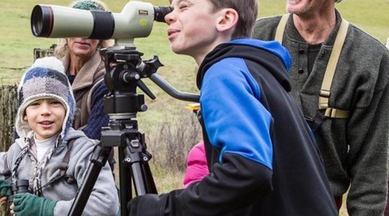 Junior Bird Count