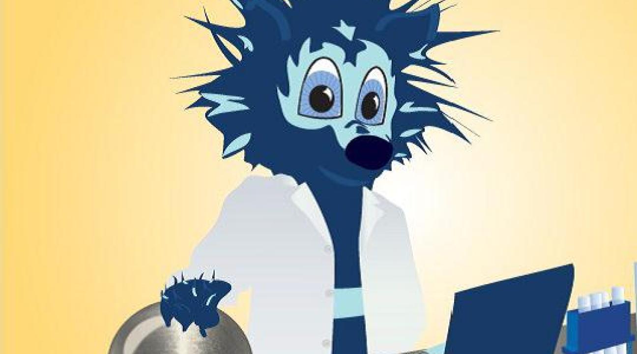 Lobo Symposium