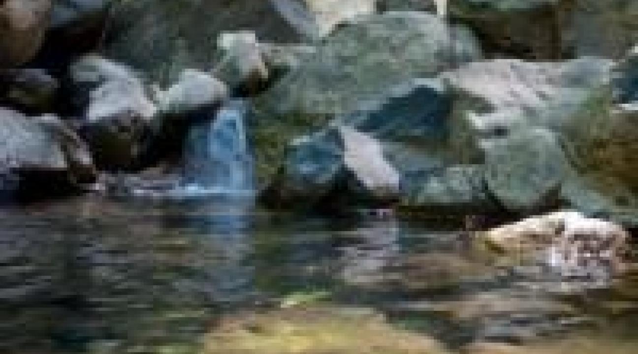 osborn copeland creek