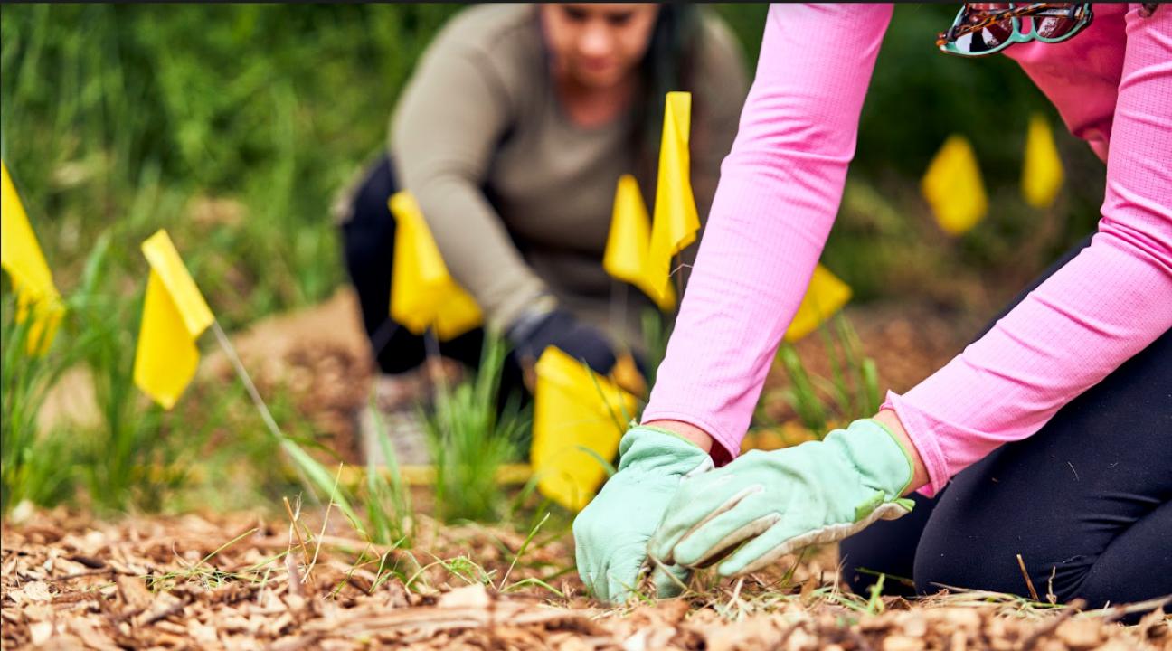 Students Emily Ledford and Savanna Thomas plant native species along Copeland Creek. Students grew the plants in their plant propagation course.