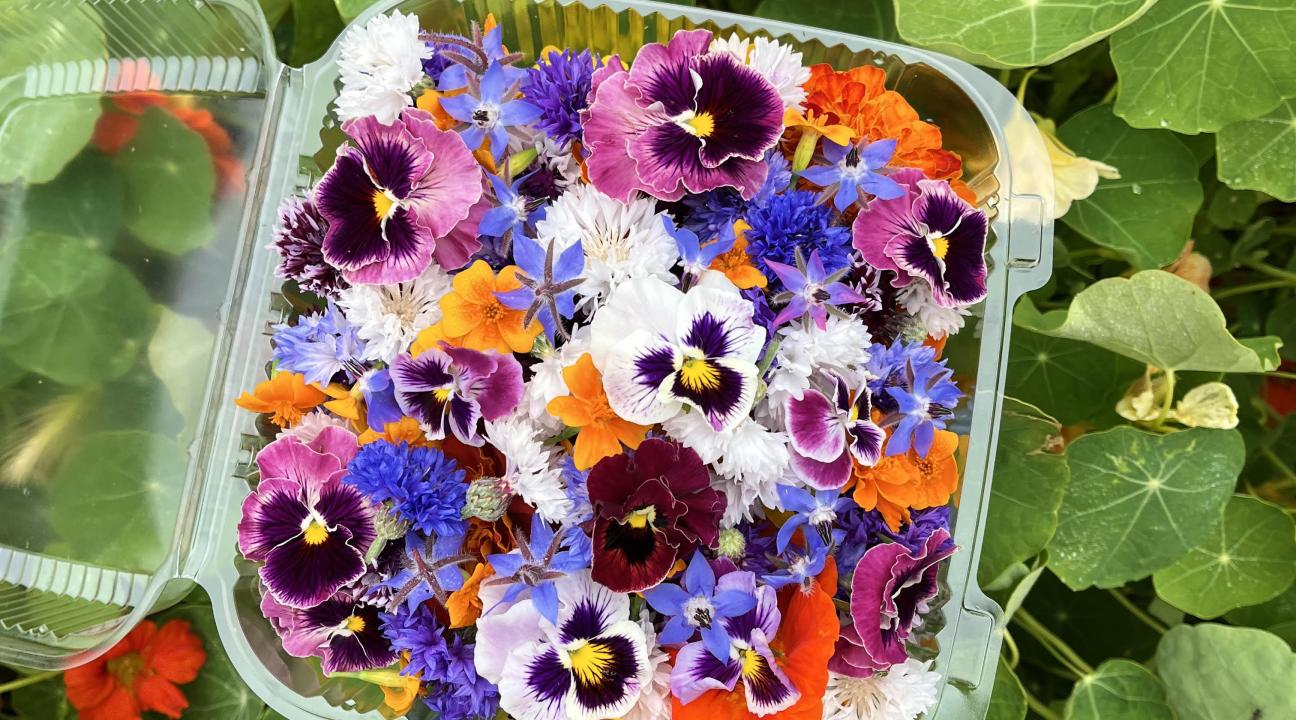 Laila Scala holding flowers