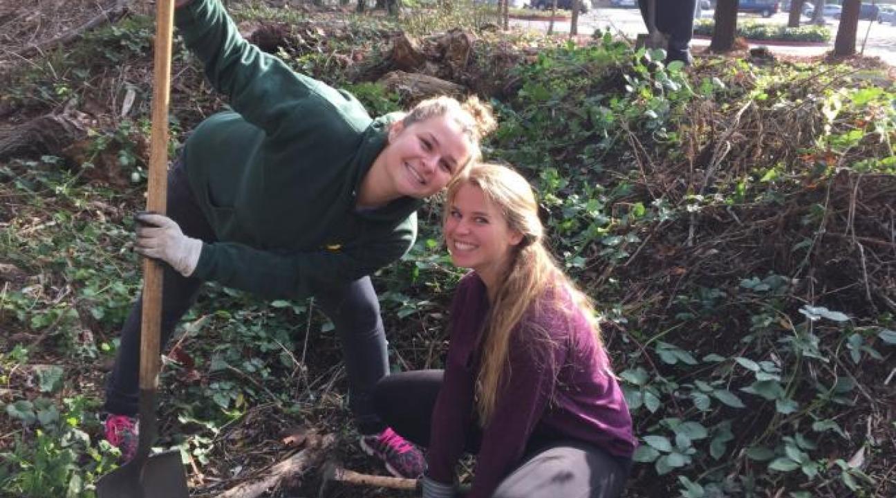 Students working at copeland  creek