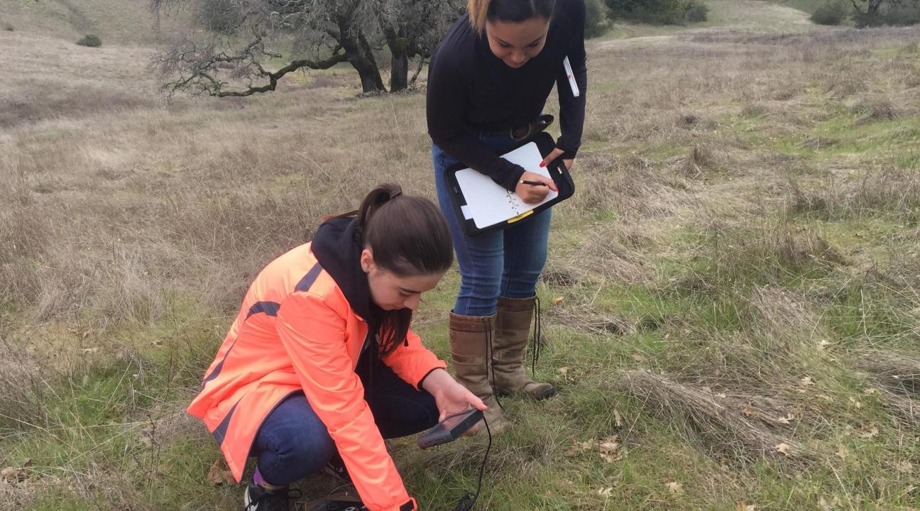 students looking at soil