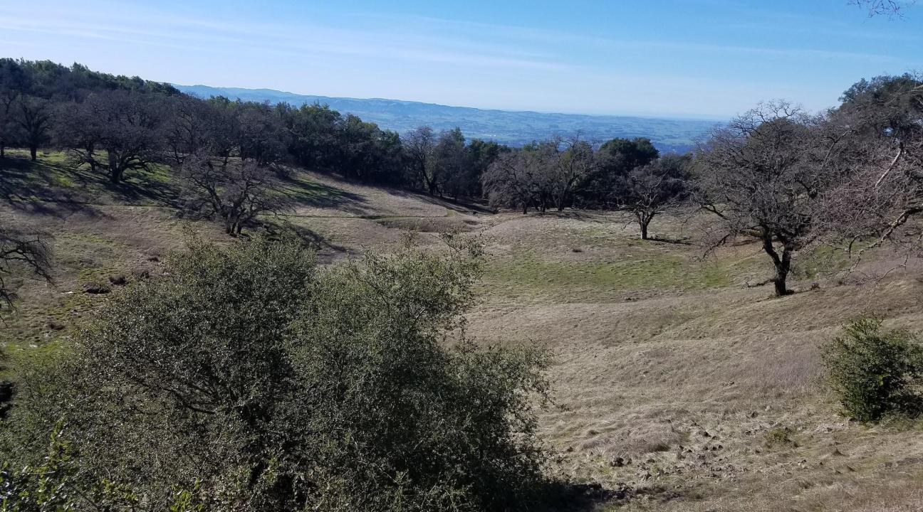 North and south slopes of the Osborn Preserve