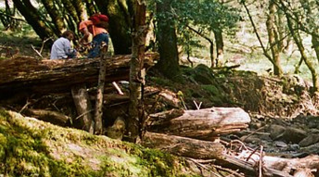 Panorama of Fairfield Osborn Preserve