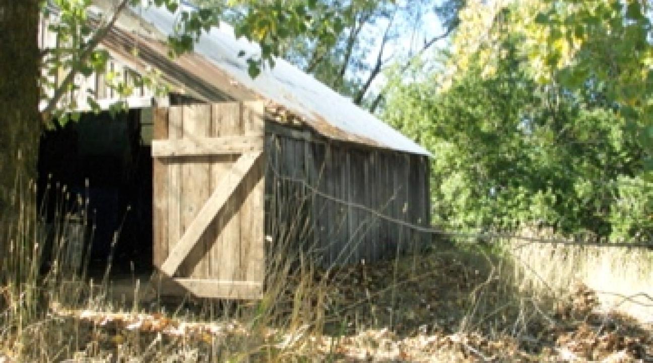 Osborn Shed