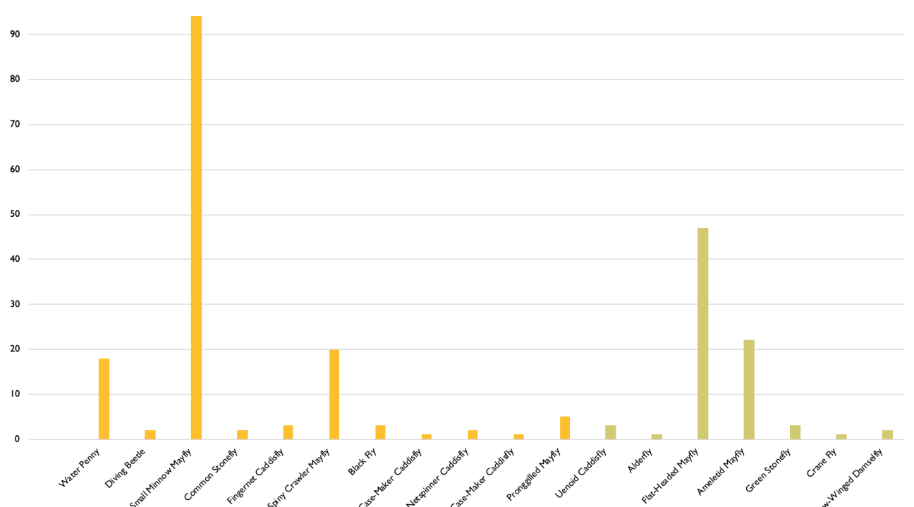 Graph of insect abundance