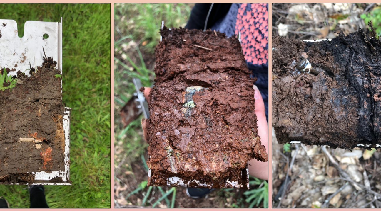Soil Samples