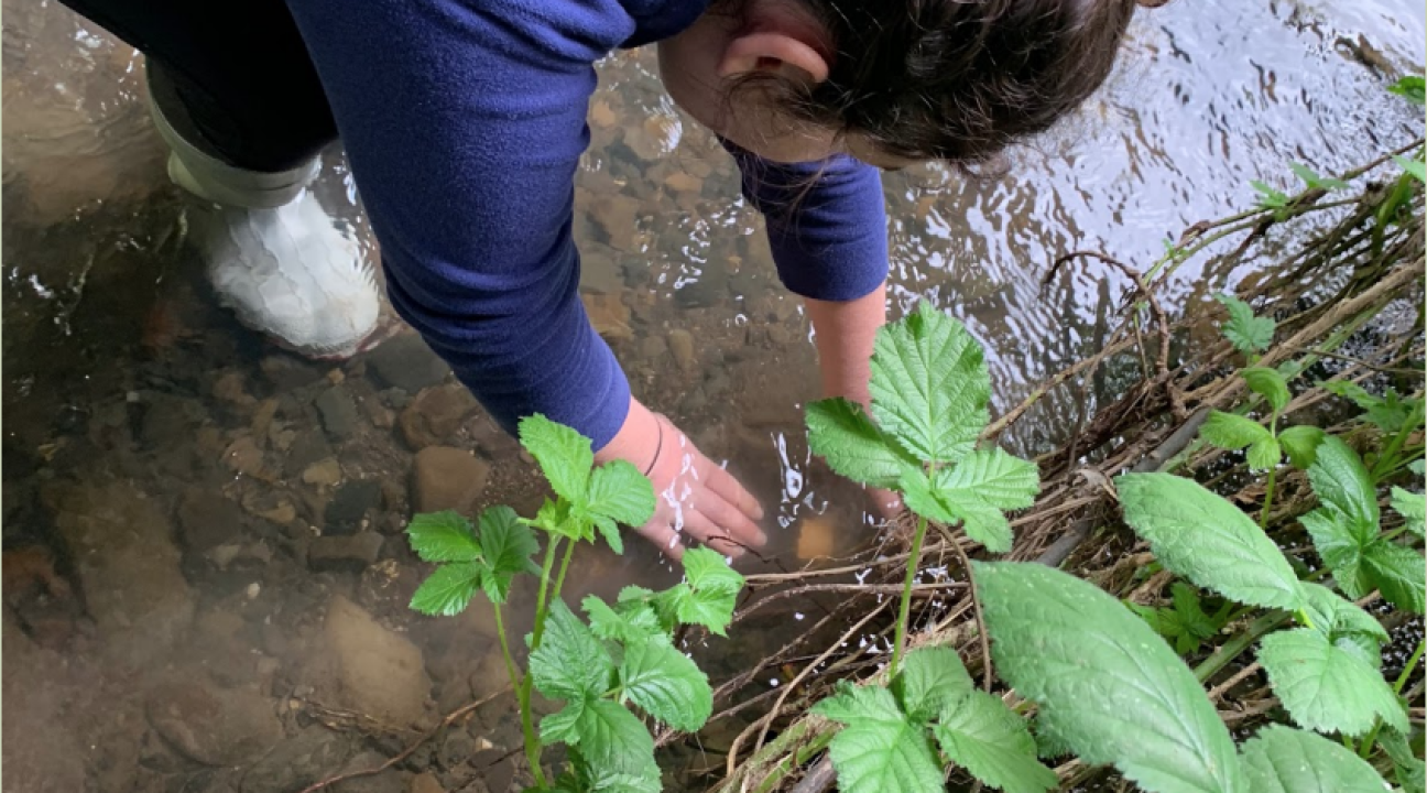 Student placing temperature sensor in creek