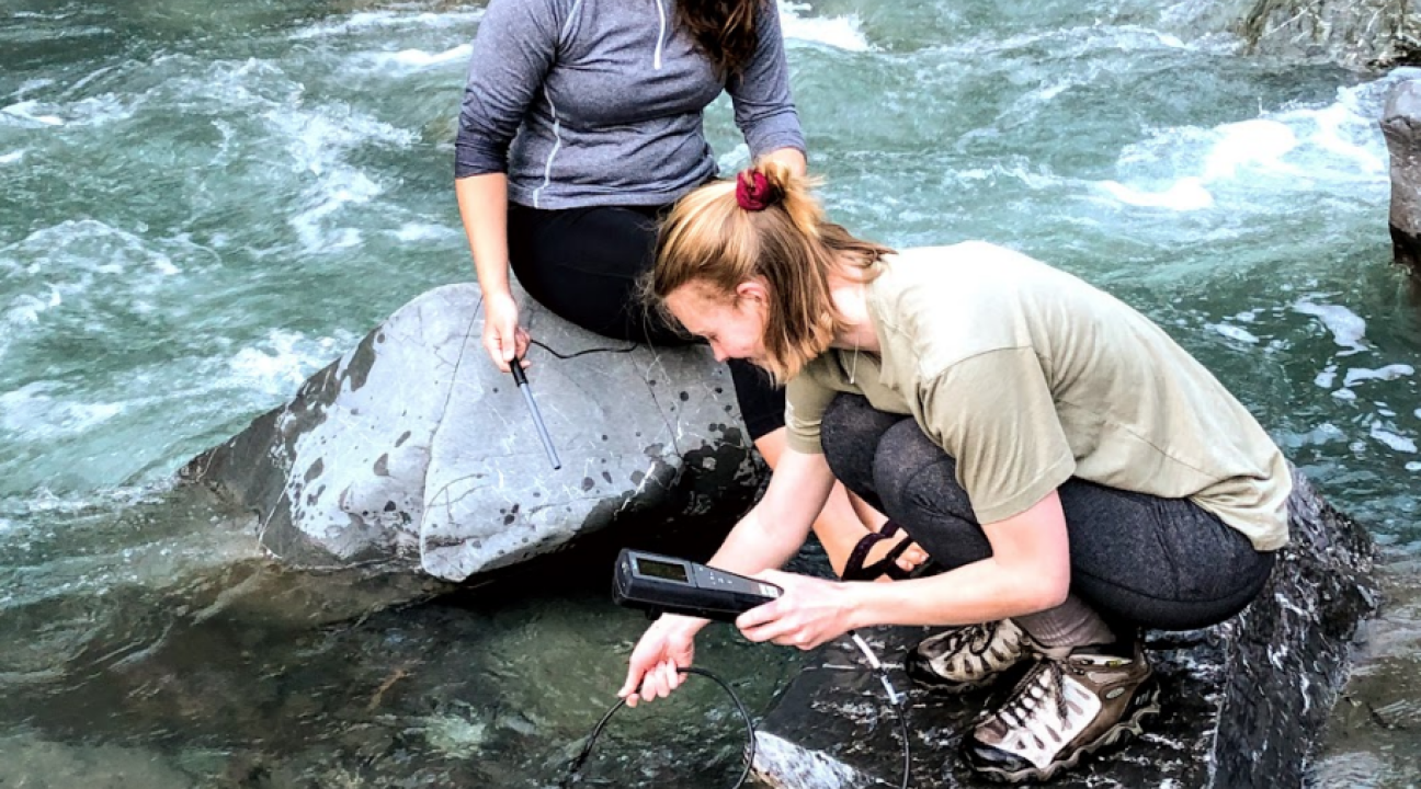 Students taking water samples in creek