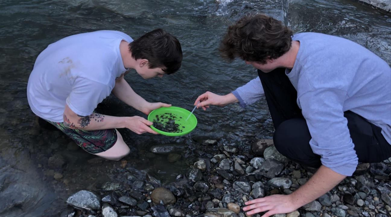 Students collecting insects in Pieta Creek