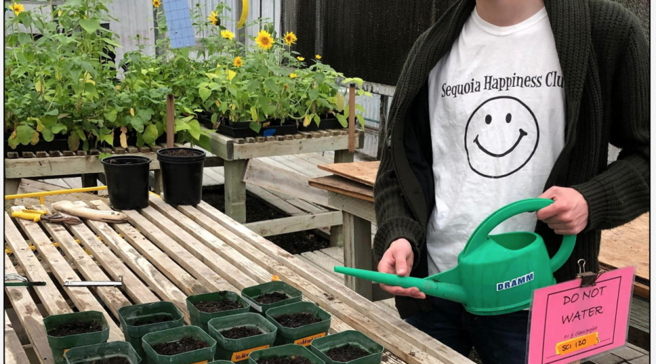 Peter Newson watering plants