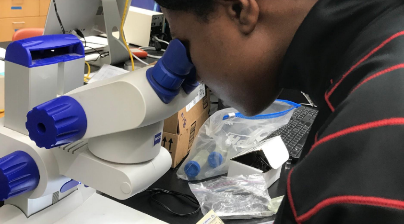 Students looking through microscope