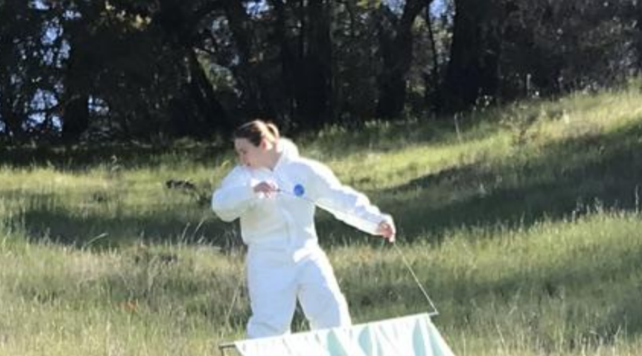 Student dragging canvas sheet over grass