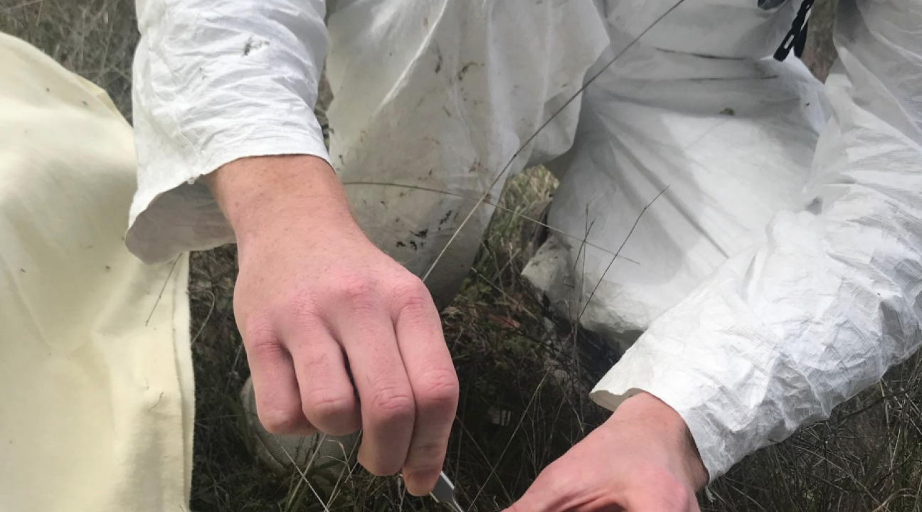 Student placing tick in a glass vial