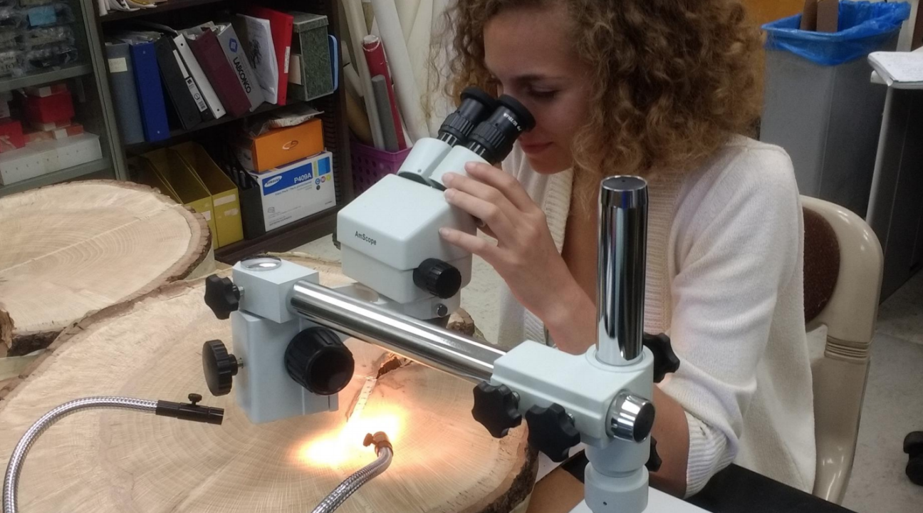 Student analyzing tree rings under a microscope