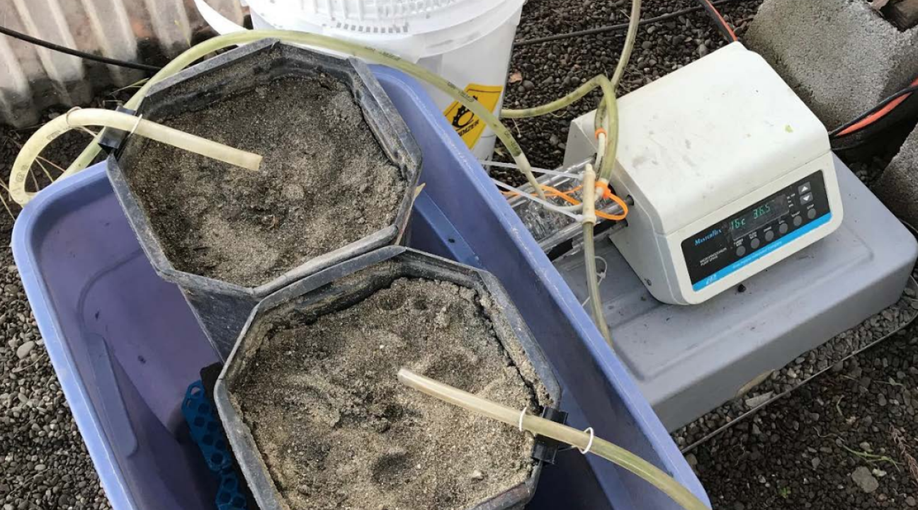 Waste treatment filters in a bucket