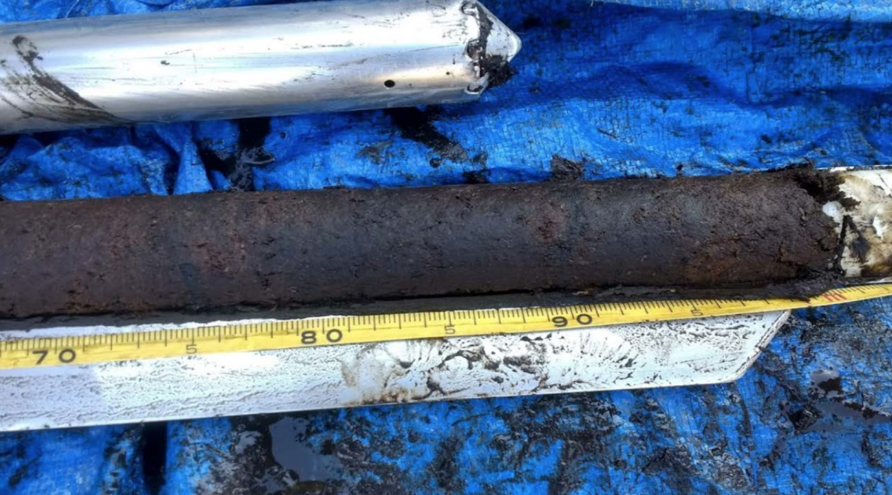 Soil samples