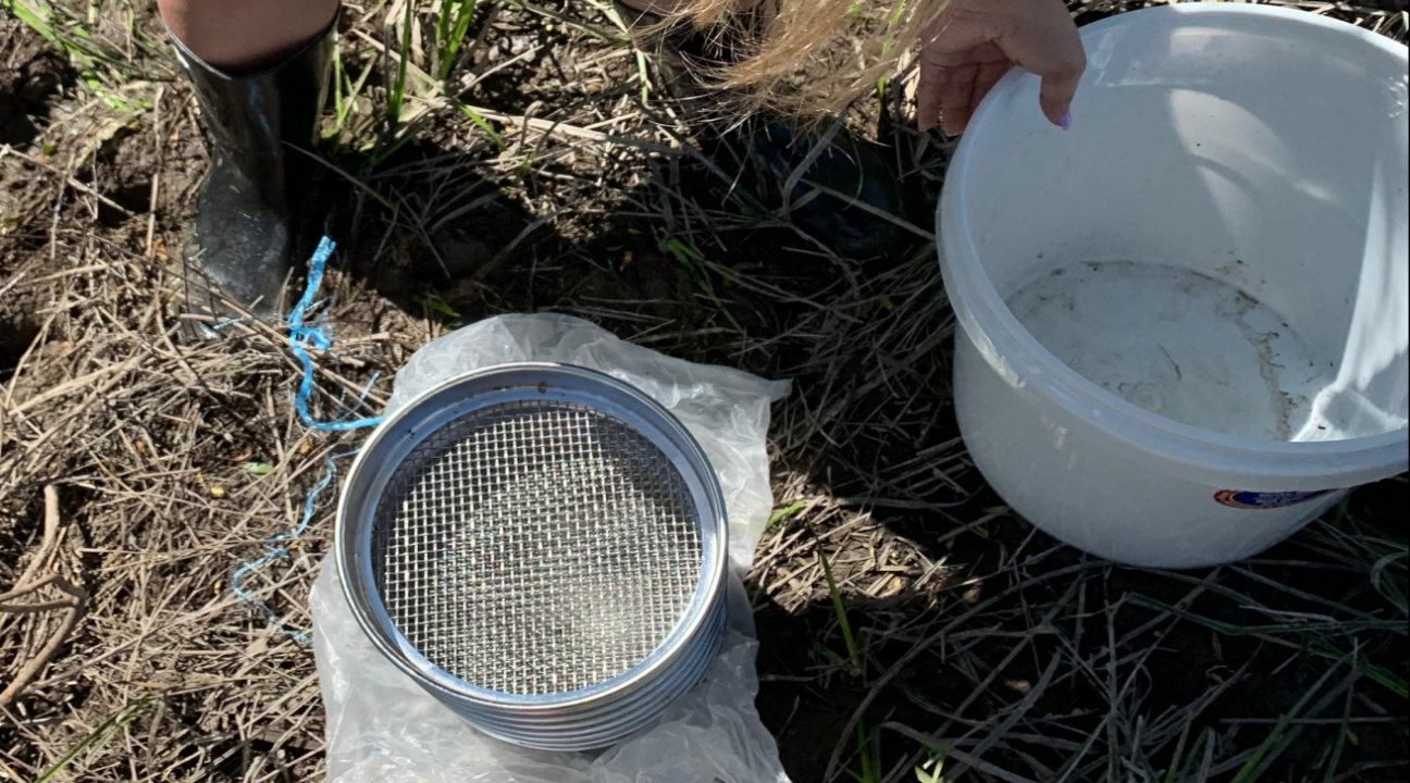 Student with sieve and bucket