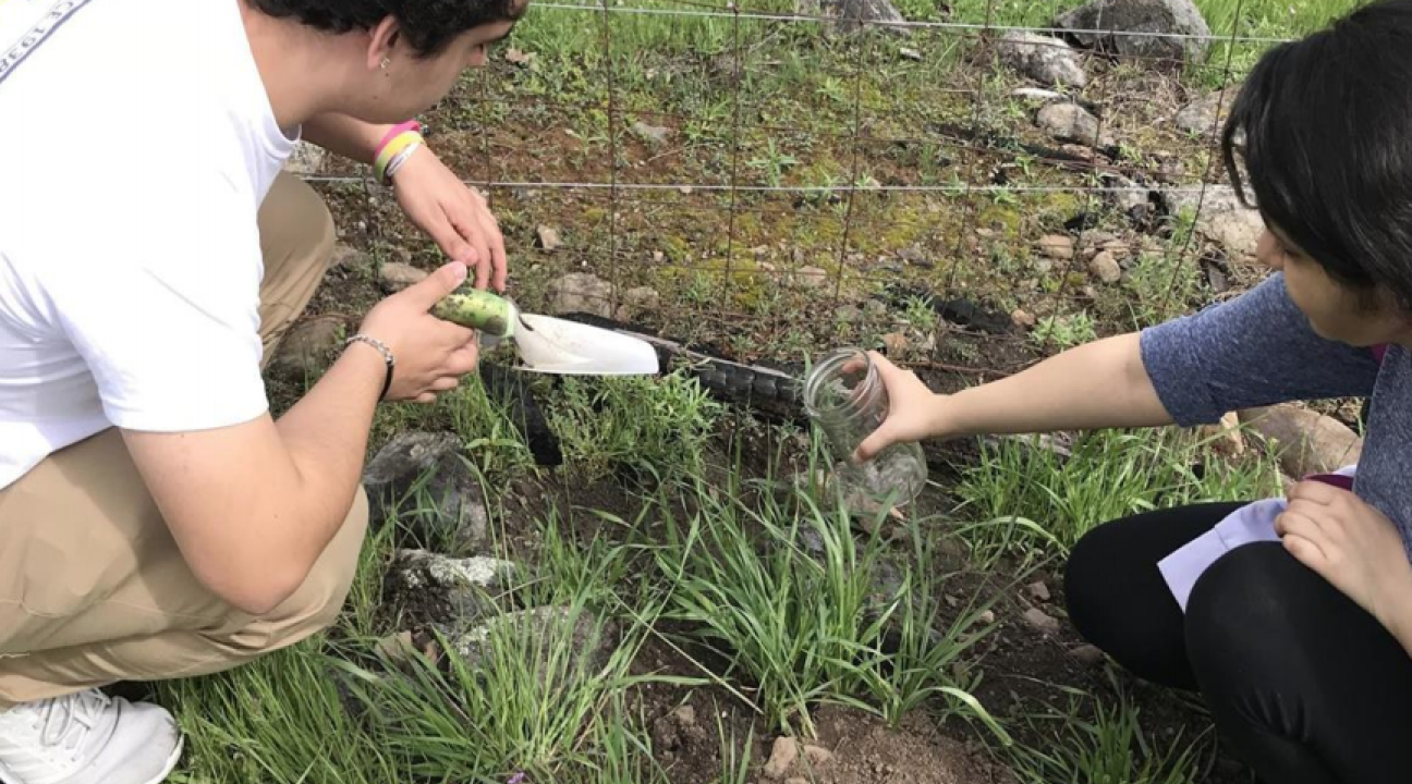 Students collecting soil samples