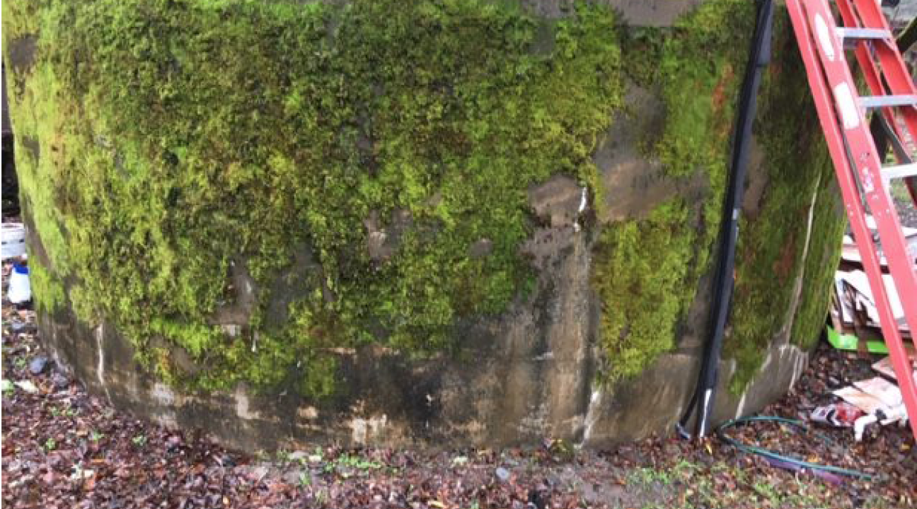 Moss-covered water tank